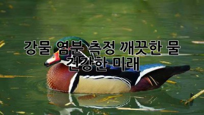 강물 염분 측정: 깨끗한 물, 건강한 미래