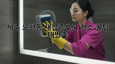 제주 노형동 새집증후군 청소🏡 꿀팁 대방출! ✨