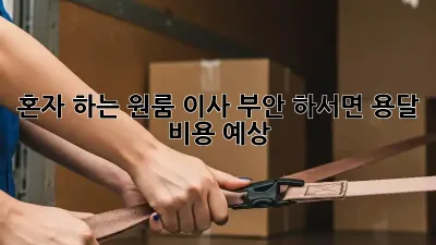 혼자 하는 원룸 이사? 부안 하서면 용달 비용 예상!